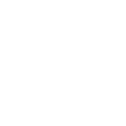 Blackbird